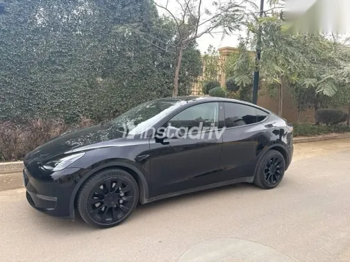 Tesla Model 3 2023 Black Used for Sale - 1