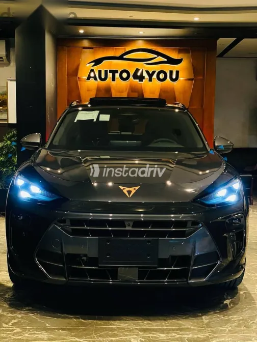 كوبرا تيرامار 2026 رمادي جديدة للبيع - 1