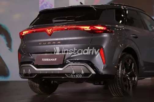 كوبرا تيرامار 2026 رمادي جديدة للبيع - 3