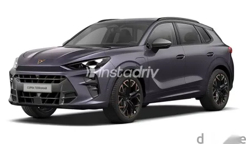 كوبرا تيرامار 2026 رمادي جديدة للبيع - 4