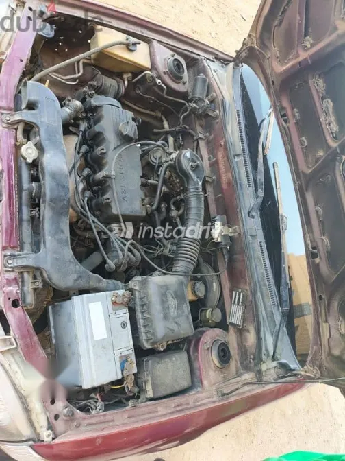 هيونداي اكسنت 2006 نبيتي مستعملة للبيع - 8