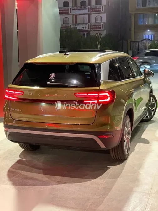 Skoda Kodiaq 2025 Gold New for Sale - 5