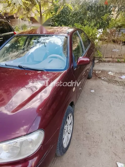 Nissan Sunny 2005 Burgundy Used for Sale - 3