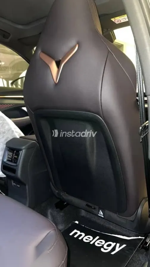 كوبرا تيرامار 2026 رمادي جديدة للبيع - 6