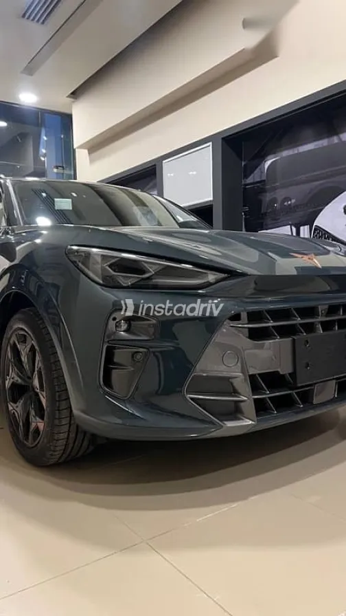 كوبرا تيرامار 2026 رمادي جديدة للبيع - 7