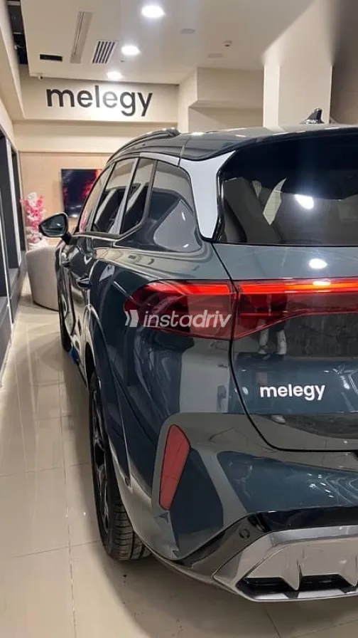 كوبرا تيرامار 2026 رمادي جديدة للبيع - 9