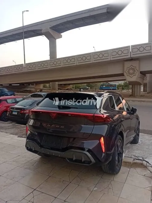 كوبرا تيرامار 2025 أزرق غامق جديدة للبيع - 3