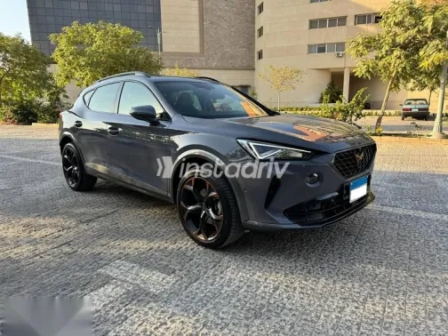 كوبرا فورمينتور 2024 رمادي مستعملة للبيع - 2