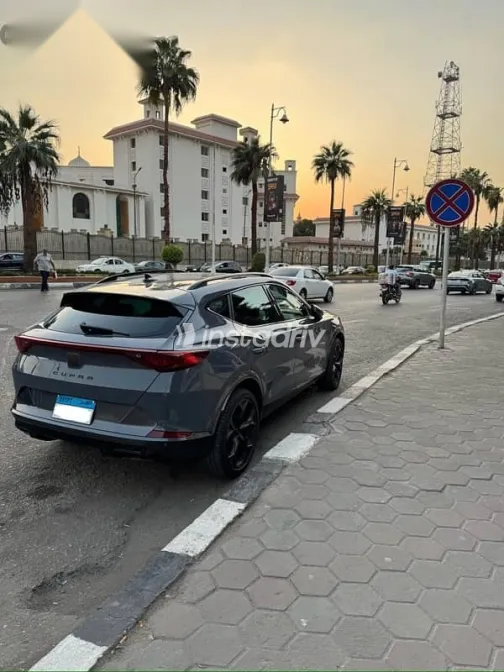 كوبرا فورمينتور 2024 رمادي مستعملة للبيع - 3