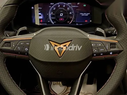 كوبرا فورمينتور 2024 رمادي مستعملة للبيع - 10