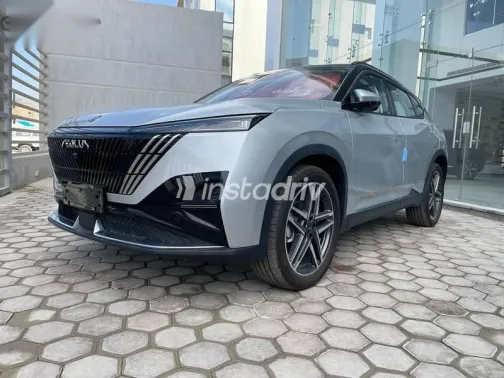 دونج فنج ماجي 2026 رمادي جديدة للبيع - 1