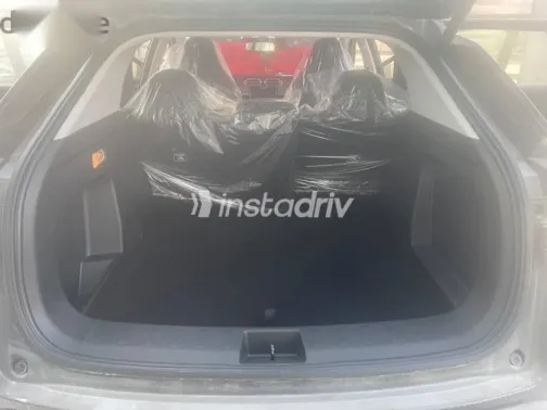 دونج فنج ماجي 2026 رمادي جديدة للبيع - 8