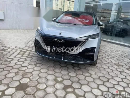 دونج فنج ماجي 2026 رمادي جديدة للبيع - 9