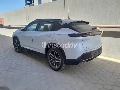 دونج فنج ماجي 2026 رمادي جديدة للبيع - 10