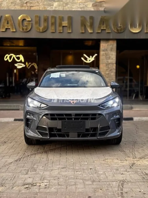 كوبرا تيرامار 2026 رمادي جديدة للبيع - 1