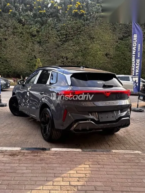 كوبرا تيرامار 2026 رمادي جديدة للبيع - 2