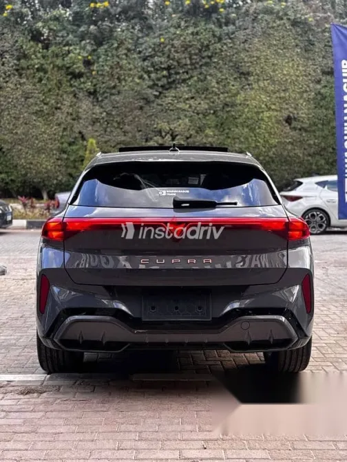 كوبرا تيرامار 2026 رمادي جديدة للبيع - 3