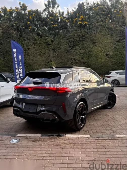 كوبرا تيرامار 2026 رمادي جديدة للبيع - 4