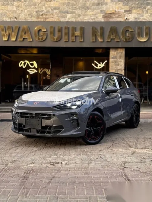 كوبرا تيرامار 2026 رمادي جديدة للبيع - 5