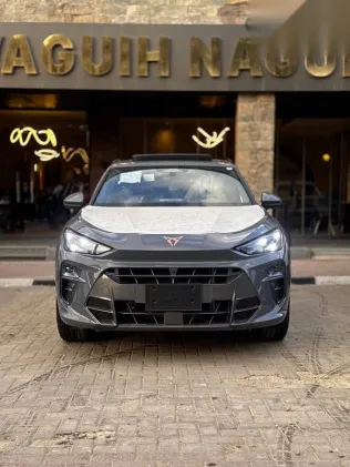 كوبرا تيرامار 2026 رمادي جديدة للبيع