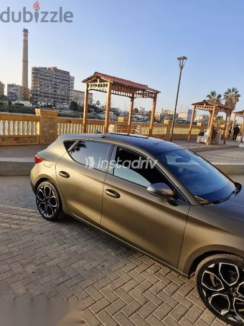 كوبرا ليون 2025 بني مستعملة للبيع - 2