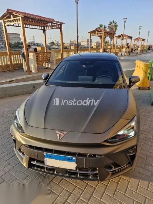 كوبرا ليون 2025 بني مستعملة للبيع - 4