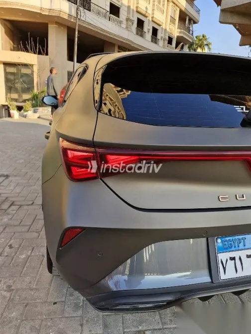 كوبرا ليون 2025 بني مستعملة للبيع - 10