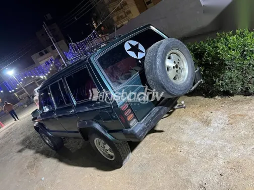 جيب شيروكي 1993 أبيض مستعملة للبيع - 6