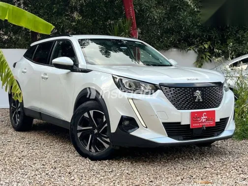 بيجو 2008 2021 أبيض مستعملة للبيع - 2