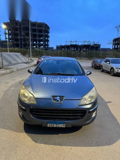 بيجو 407 2005 رمادي مستعملة للبيع - 9