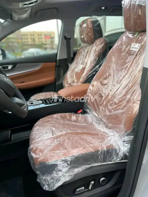 اسبيرانزا تيجو 2022 أبيض مستعملة للبيع - 7