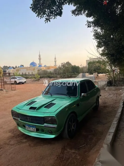 بيجو 504 1979 أخضر مستعملة للبيع - 6