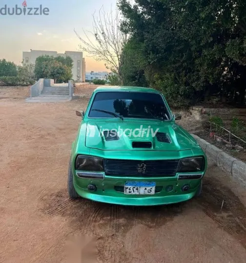 بيجو 504 1979 أخضر مستعملة للبيع - 8