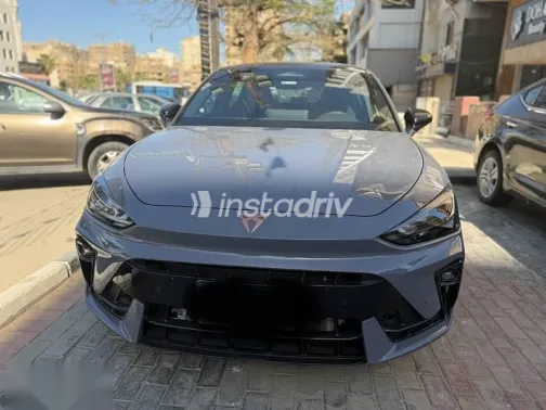 كوبرا ليون 2026 رمادي جديدة للبيع - 1