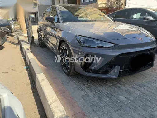 كوبرا ليون 2026 رمادي جديدة للبيع - 2