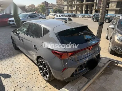 كوبرا ليون 2026 رمادي جديدة للبيع - 4