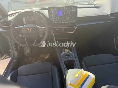 كوبرا ليون 2026 رمادي جديدة للبيع - 7