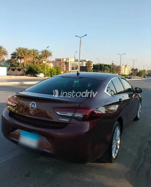 اوبل أنسيجنيا 2018 نبيتي مستعملة للبيع - 4