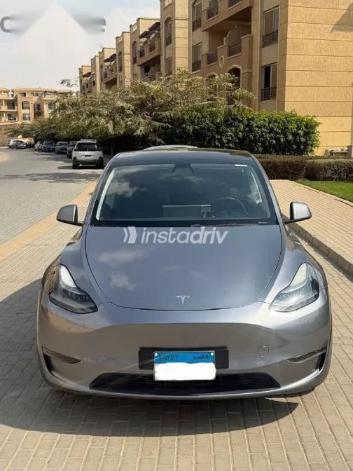 Tesla Model 3 2023 Gray Used for Sale - 1