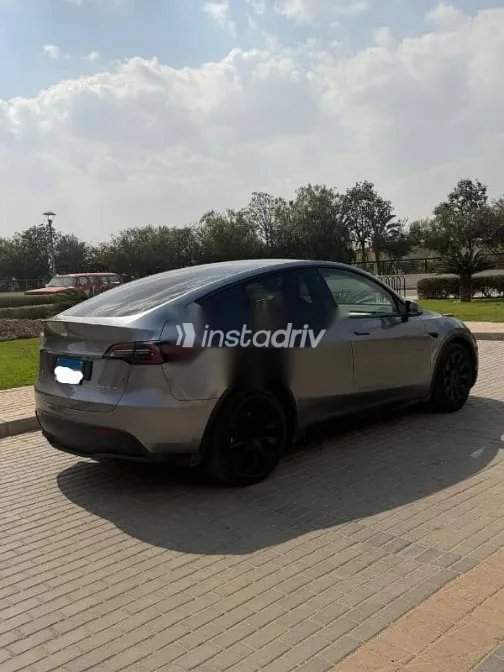 Tesla Model 3 2023 Gray Used for Sale - 3
