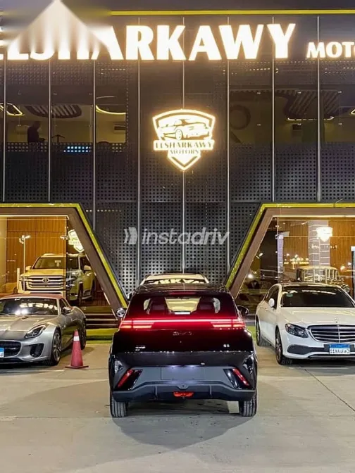 بى واى دى‬ سيجال 2025 أسود جديدة للبيع - 4