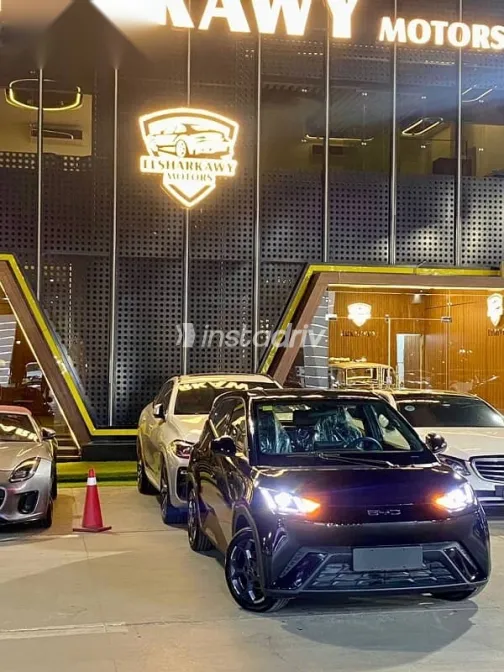 بى واى دى‬ سيجال 2025 أسود جديدة للبيع - 5