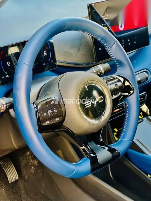 بى واى دى‬ سيجال 2025 أسود جديدة للبيع - 6