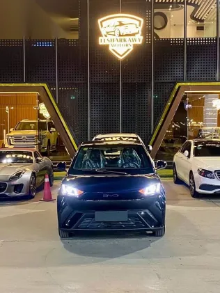 بى واى دى‬ سيجال 2025 أسود جديدة للبيع