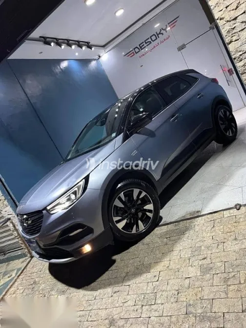 اوبل جراند لاند 2021 فضي مستعملة للبيع - 2