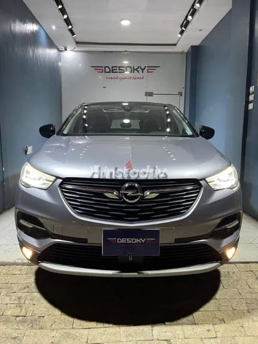 اوبل جراند لاند 2021 فضي مستعملة للبيع - 3
