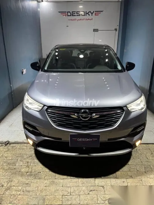 اوبل جراند لاند 2021 فضي مستعملة للبيع - 4