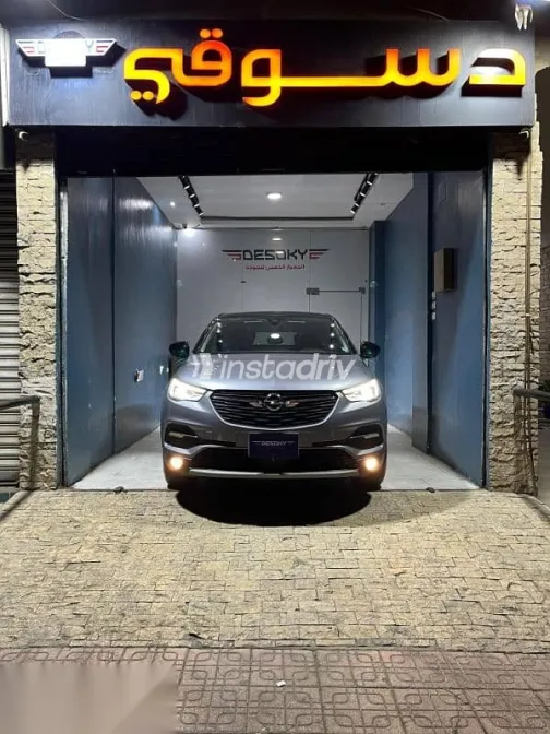 اوبل جراند لاند 2021 فضي مستعملة للبيع - 7