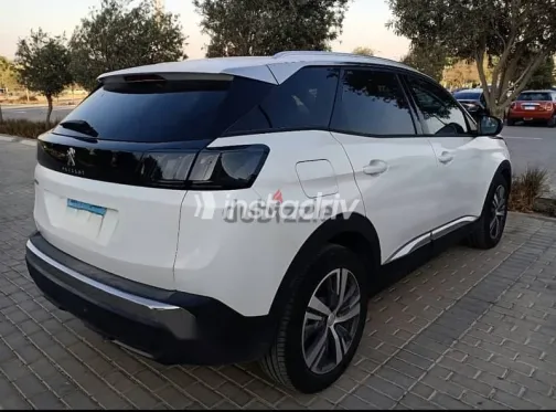 بيجو 3008 2022 أبيض مستعملة للبيع - 5
