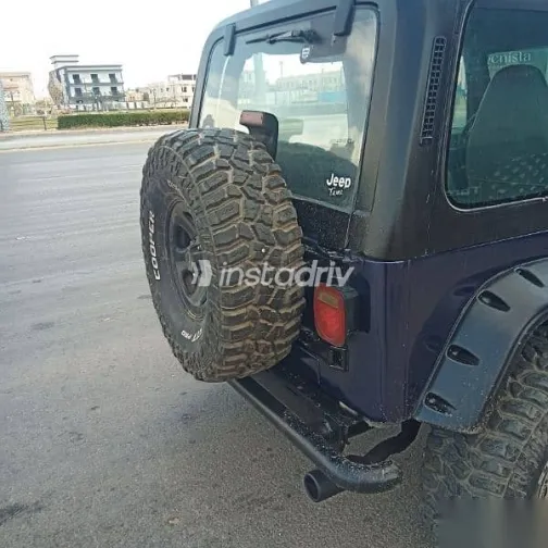 جيب رانجلر 1994 أزرق غامق مستعملة للبيع - 3